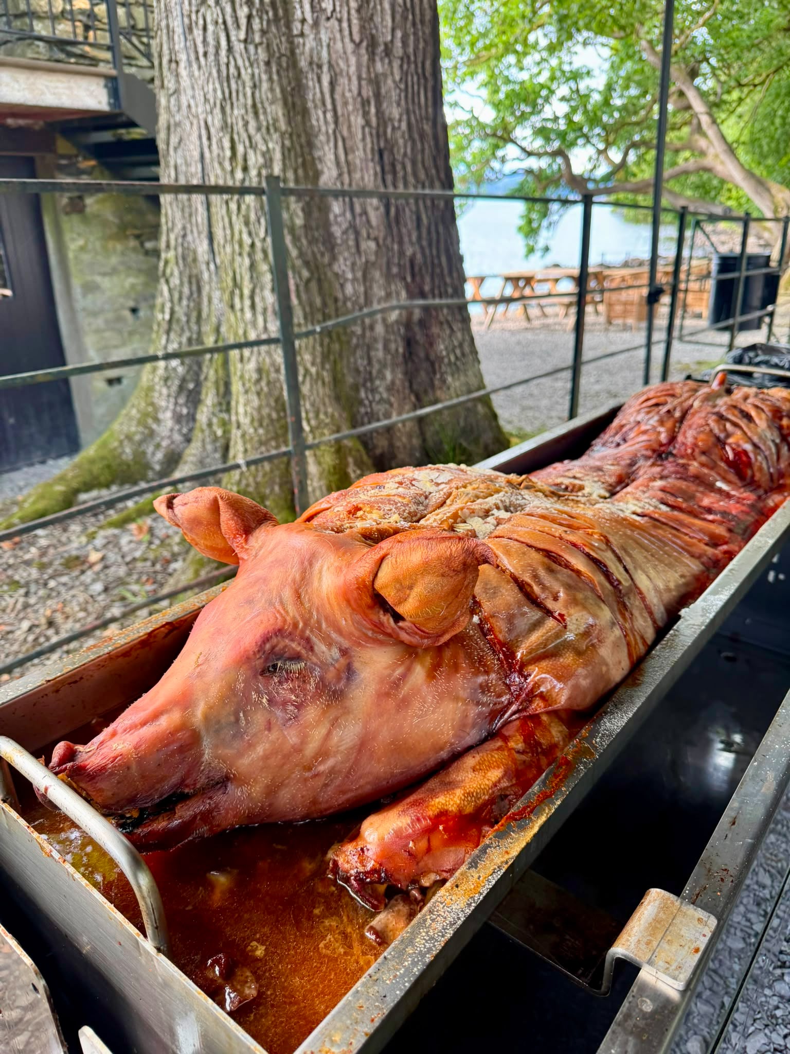 hog roast northern uk